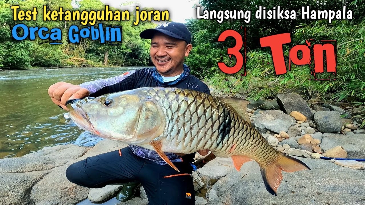 TEST KETANGGUHAN JORAN ORCA GOBLIN LANGSUNG DISIKS4 HAMPALA 3 TON 🤣