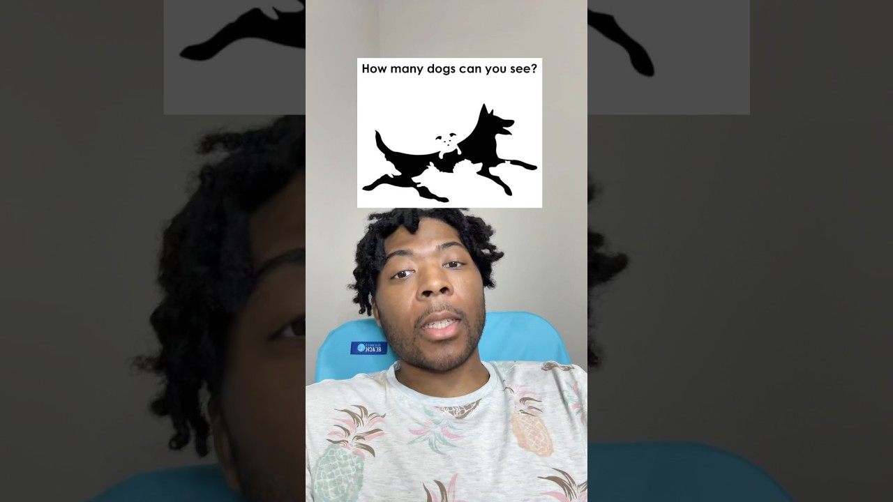 How many dogs can you see? 