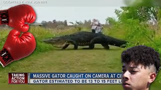 Attacked By Mive 15-Foot Gator