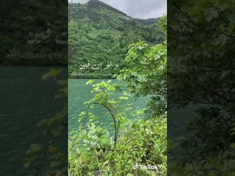 اليسا بعيد او جنبي وانا فكراك