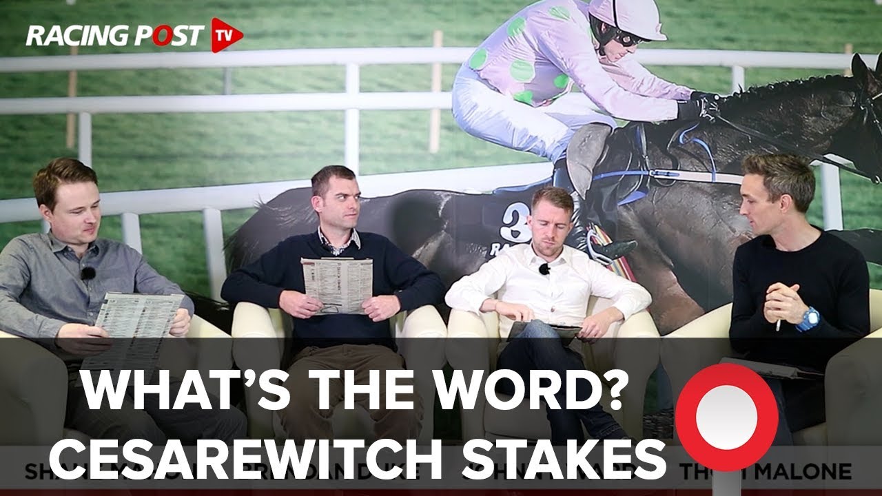 ascot racecourse wiki What's The Word? Cesarewitch Stakes Handicap
