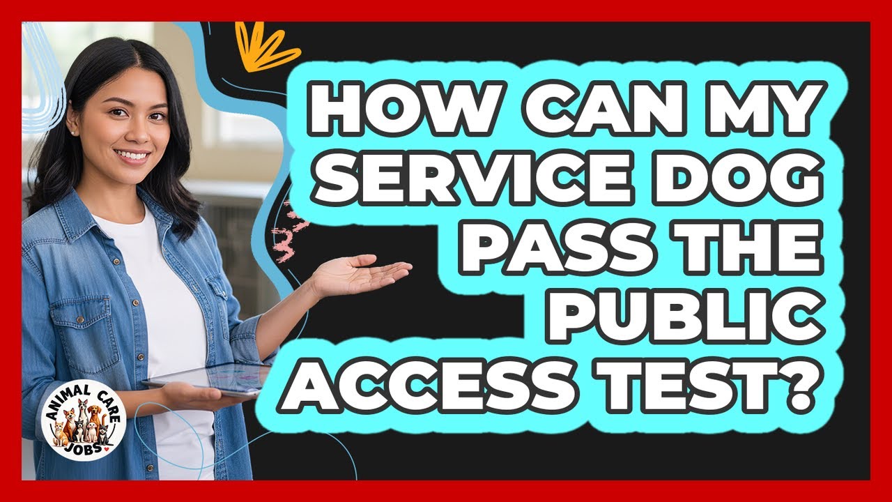 How Can My Service Dog Pass The Public Access Test? - Animal Care Jobs