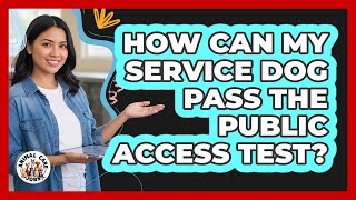 How Can My Service Dog Pass The Public Access Test - Animal Care Jobs
