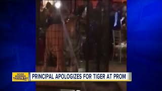 Principal apologizes for tiger at prom