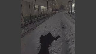 Я так хочу - Venst