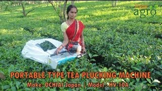 Tea Harvester Portable Type 410 mm - OCHIAI Japan (Operated by Women Worker)