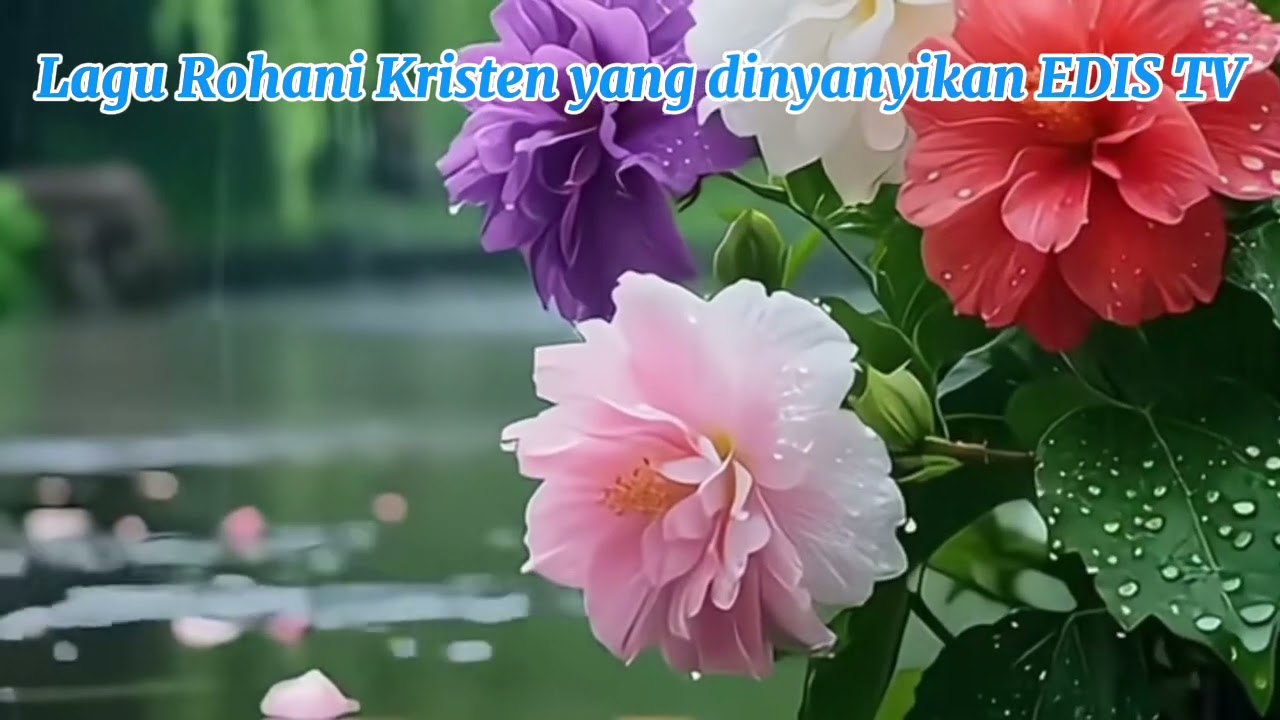 Lagu Rohani Kristen Yg dinyanyikan oleh EDIS TV