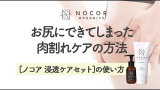 ノコア 浸透ケアセット