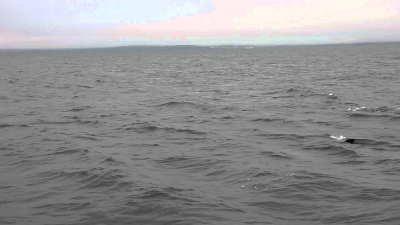 2011-07-06 23-52-500013