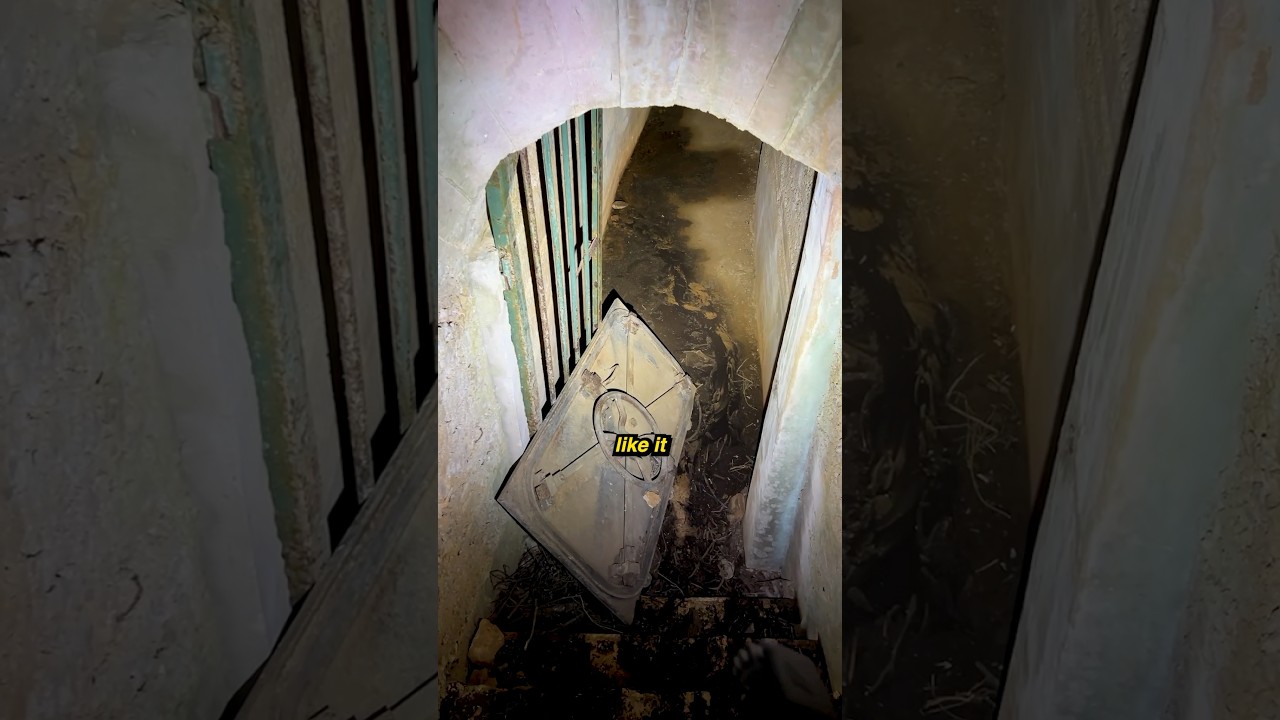 I found something terrifying while out on a hike! 