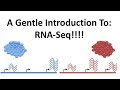 StatQuest: A gentle introduction to RNA-seq