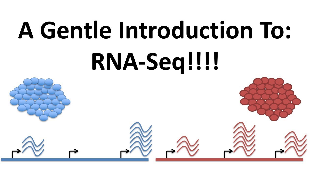 A Gentle Introduction to RNA-seq