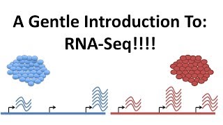 StatQuest: A gentle introduction to RNAseq
