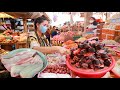 Yummy pangasius fish stew popular,juicy beef recipe and grill cat fish eat sour fruit - Sros cooking