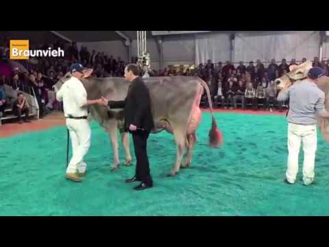 Highlights der BRUNA 2017 in Zug/Schweiz