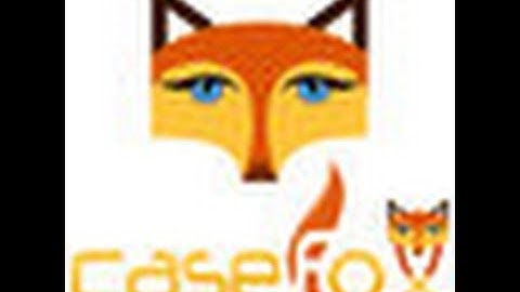 Legal Time Tracking Software - CaseFox