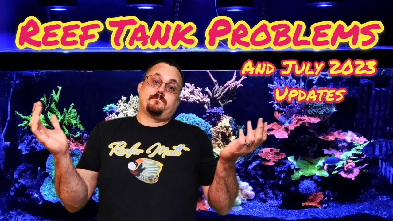 Photo inspiration: Picture Idea: Reef Tank Problems And Updates