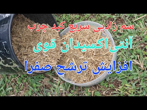 خواص درمانی شاه تره
