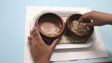 Montessori Hand Transfer (Beans)