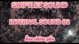 Swiftlet sound original - internal sound 02 - Âm chim yến 02