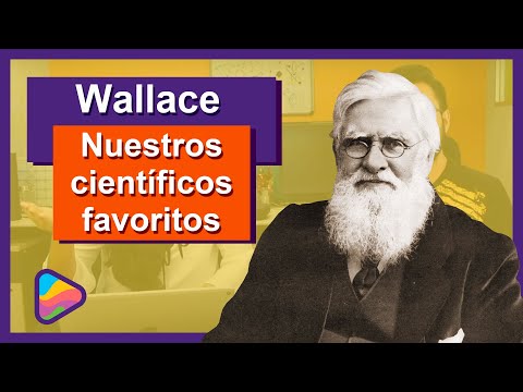 Video: ¿Qué es el efecto Wallace?