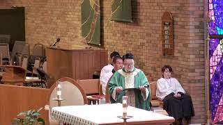 Fourteenth Sunday of Ordinary Time- 07-05-2026