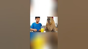 Capy cùng anh pha nước uống cho bà #capybara