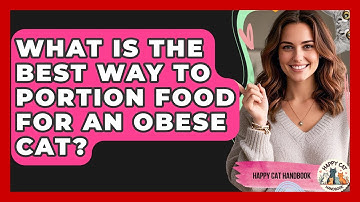 What Is The Best Way To Portion Food For An Obese Cat? - Happy Cat Handbook