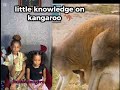 Little knowledge on kangaroo #goviral #knowledgeispower 