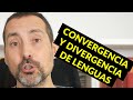 Convergencia y divergencia de lenguas