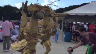 India Day Festival Kensico Dam