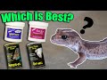 Why you should add Vitamins to your Reptile's Diet