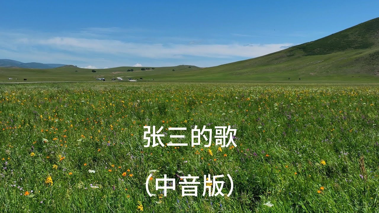 《张三的歌》怀旧金曲蔡琴老歌中音萨克斯独奏Saxophone Cover - YouTube
