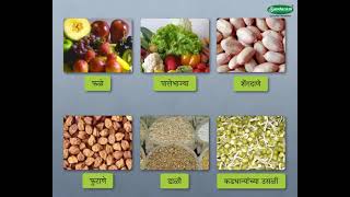 Science Concept आहार - Food and Diet (5-6 grade) Marathi med screenshot 5