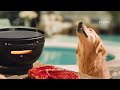 Unleash Your Inner Chef with the Big Horn Outdoors® Infrared Steak Grill
