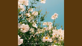 Butterflies and Roses