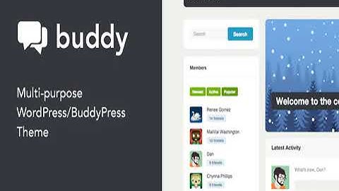 Buddy: Simple WordPress & BuddyPress Theme Full Activated Working