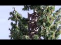 Why emergency sirens didn't sound sooner during the wildfire