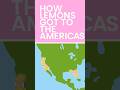How Lemons Got to the Americas #shorts