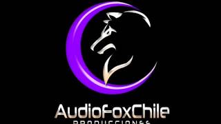 Audiofoxchile megamix intro tito el bambino.wmv