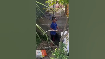 Bảo nước mía tươi nguyên chất mà khách ko tin 😂 #chuyenla #xahoi #docla #vuive #vuinhon #giaitri