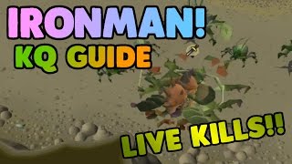 Ironman Kalphite Queen Ultimate Guide with LIVE Kills! OSRS