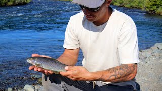 Fishing Arctic Grayling | Alaska's Denali Highway