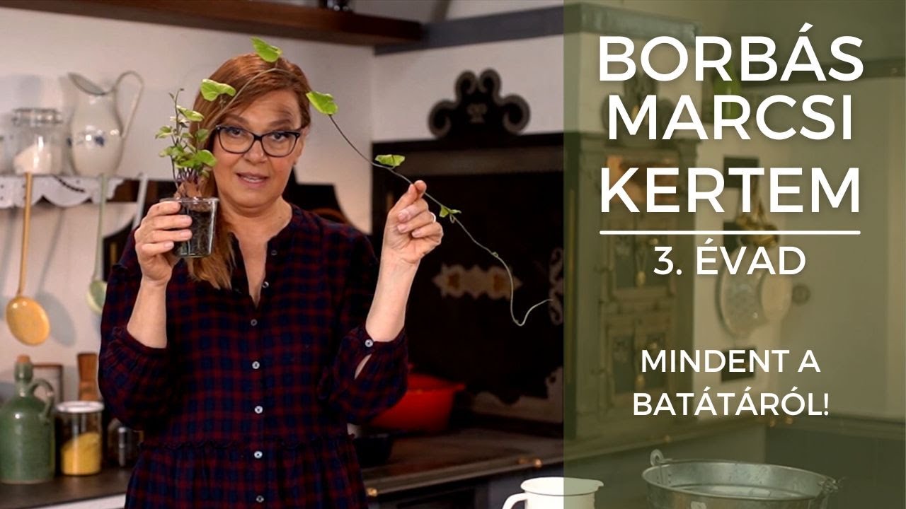 Borbás Marcsi - Kertem: Mindent a batátáról!