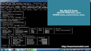 Structured Query Language Tutorial SQL Part 15   DELETE Statement Command Prompt   Console
