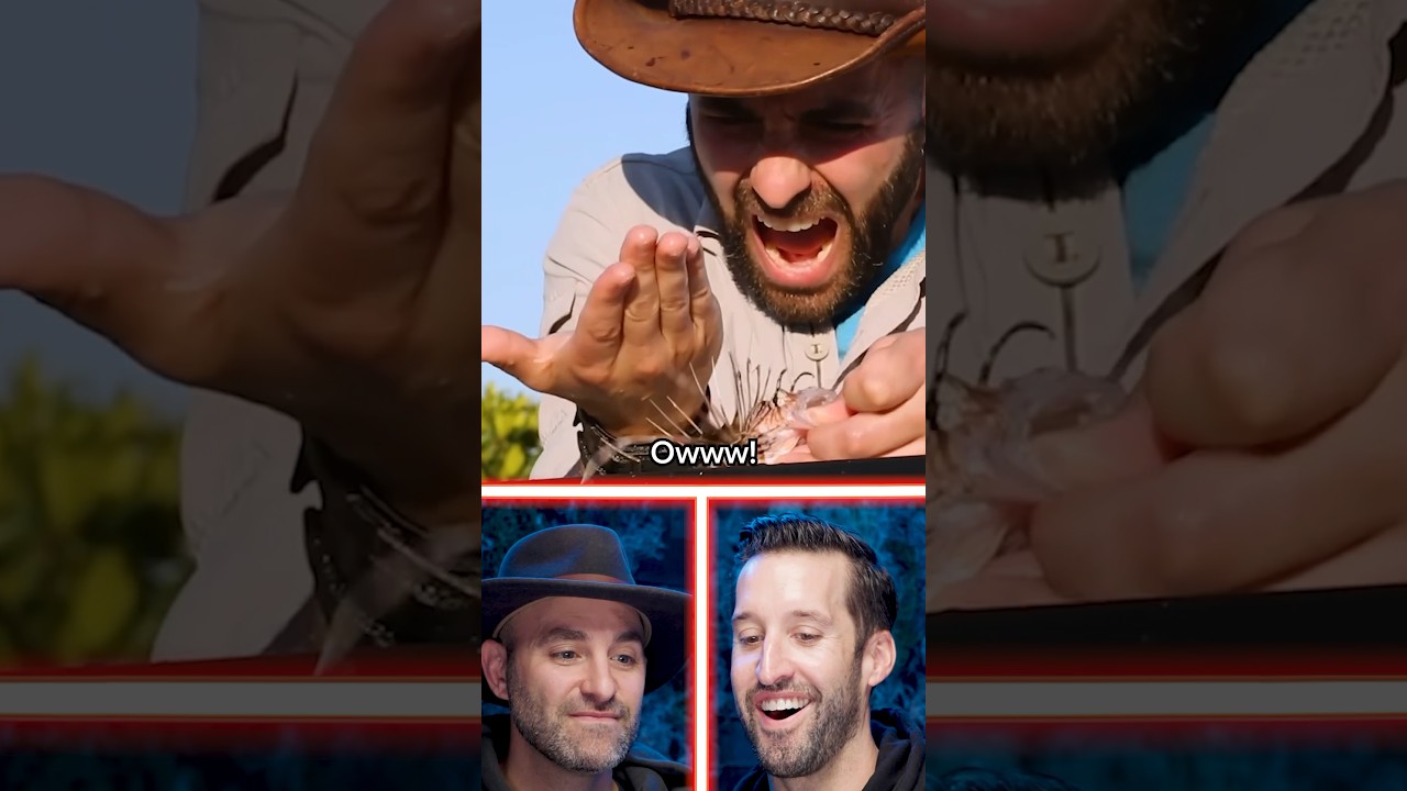 Врач и Coyote Peterson смотрят ужаливания из Brave Wilderness