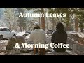 Autumn Leaves & Morning Coffee | November Vlog