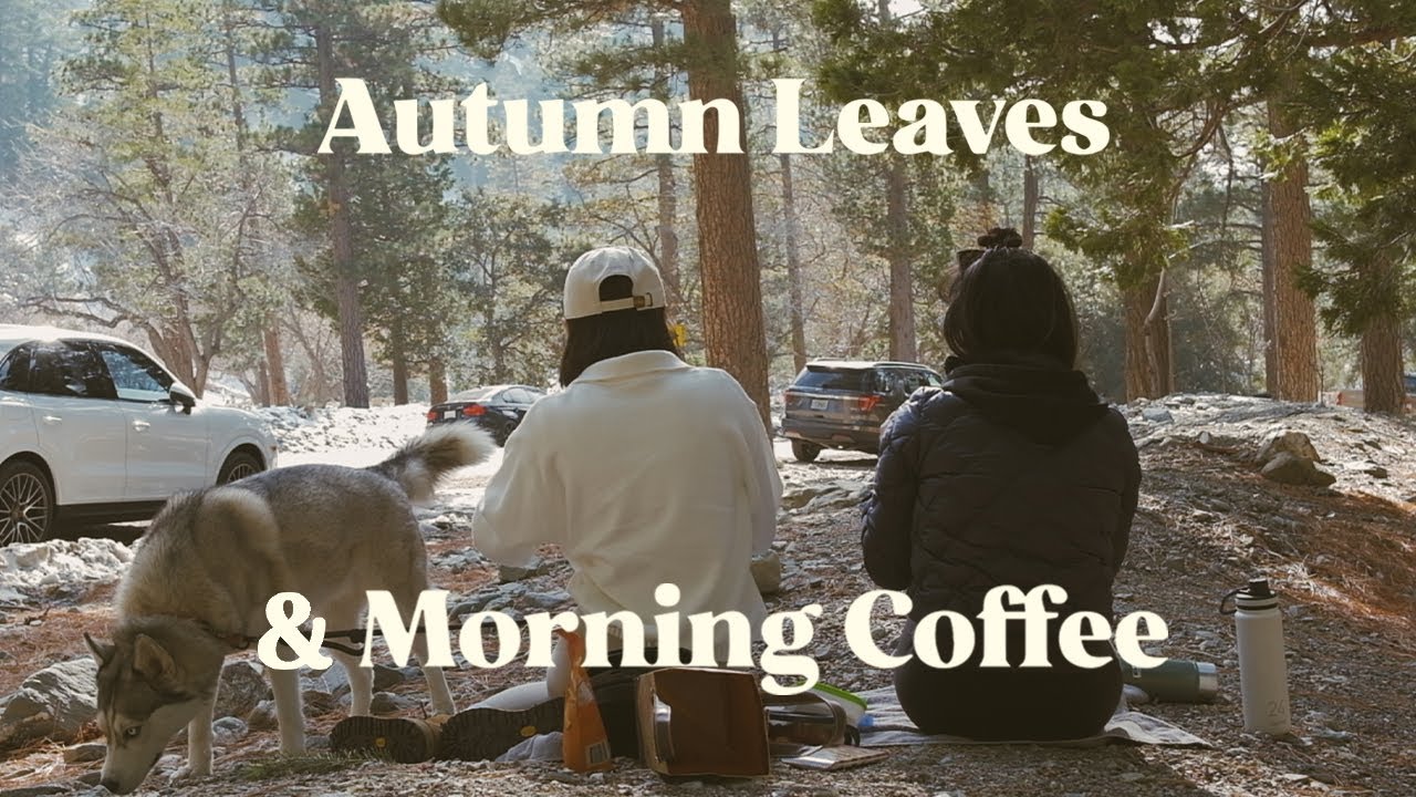 hojas de otoño y café de la mañana |  blog de noviembre