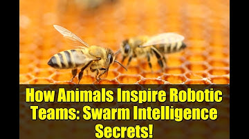 How Animals Inspire Robotic Teams: Swarm Intelligence Secrets!