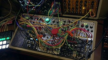 La Selva | Eurorack Ambient | Mutable Instruments Clouds, Rings | MakeNoise Mysteron | Moog Mother32